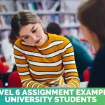 SNA Level 6 Assignment Example For University Students